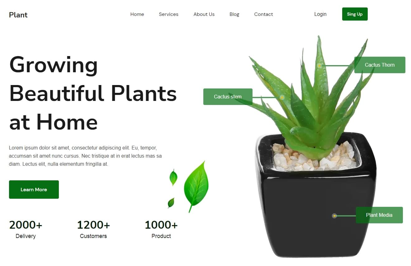 Plant